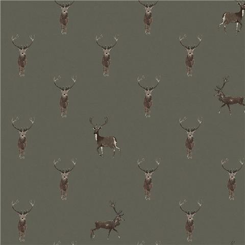 Sophie Allport Highland Stag Wallpaper 146854 Charcoal
