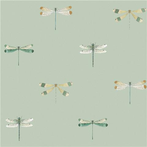 Sophie Allport Watercolour Dragonfly Wallpaper 146856 Pale Sprig