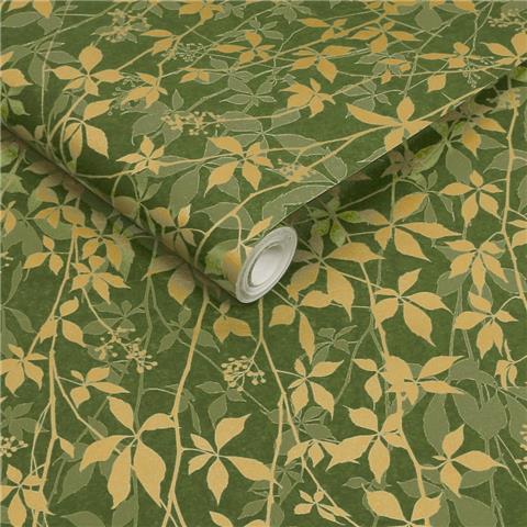 Clarissa Hulse Virginia Creeper Wallpaper 147010 Basil/Gold