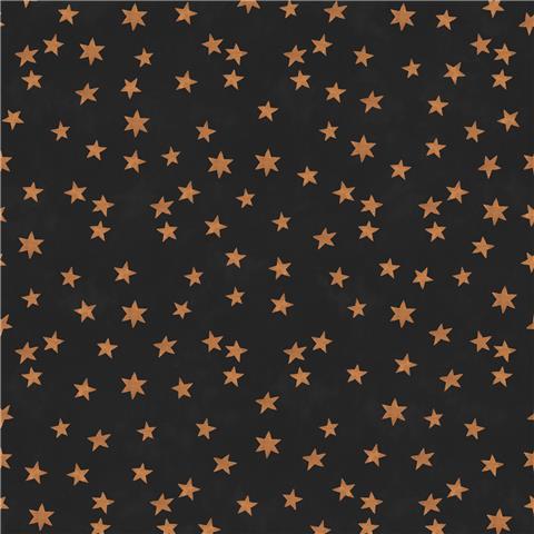 Rockett St George Wallpaper Midnight Skies 149620 Noir