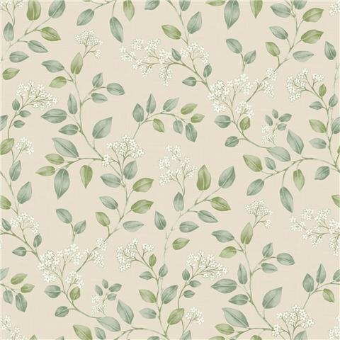 Grandeco Forget me Not Wallpaper 199101 Neutral/Green