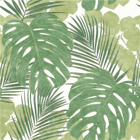 Rasch homestyle Exotic jungle palm wallpaper 214628
