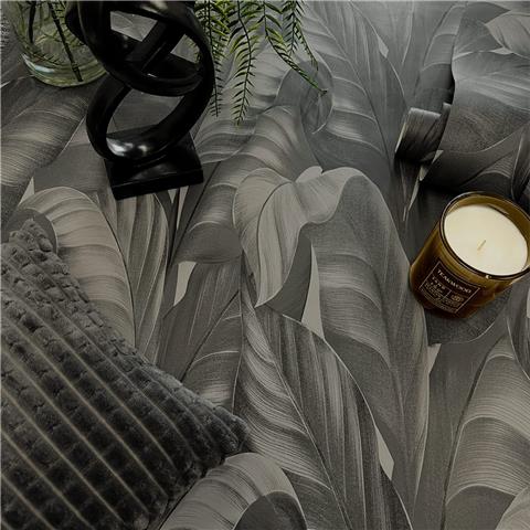 Belgravia Moda Sumatra Palm Wallpaper 2361 Charcoal
