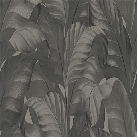 Belgravia Moda Sumatra Palm Wallpaper 2361 Charcoal