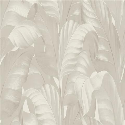 Belgravia Moda Sumatra Palm Wallpaper 2362 Cream