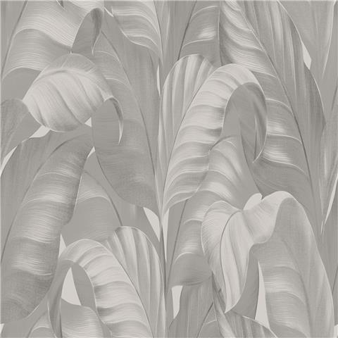 Belgravia Moda Sumatra Palm Wallpaper 2363 Grey