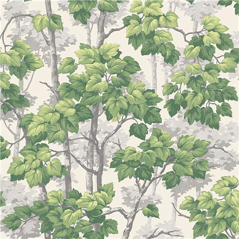 Belgravia Rivington Forest Wallpaper 2500 White/Green