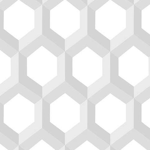Hex 3D Look Wallpaper 2716-23840 Silver/White