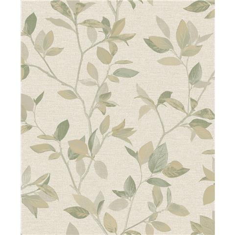 Rasch Elegant Homes Silver Birch Wallpaper 311433 Green