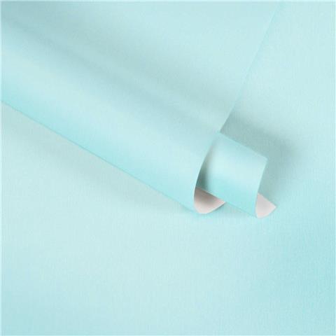 AS Creations Dream Flowery Plain Wallpaper 3831-12 Powder Blue