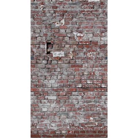 Metropolitan Stories The Wall Mural 38337-1 (159cm wide x 280cm High)