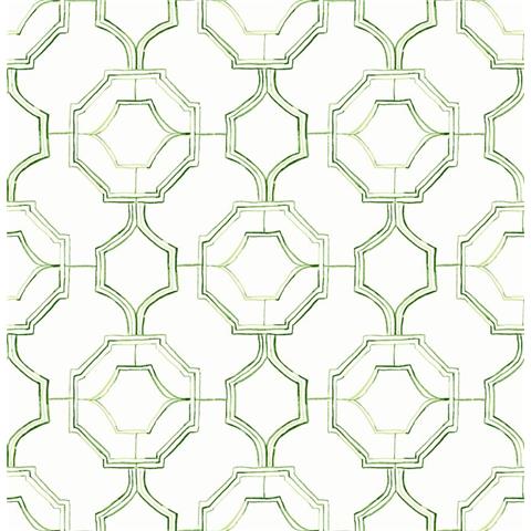 A Street Prints Happy Wallpaper Gallina Trellis 26316 Green