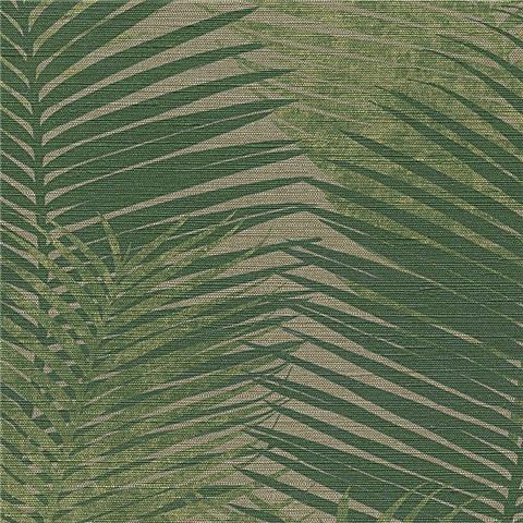 Chromatic Vinyl Wallpaper Palm 45104