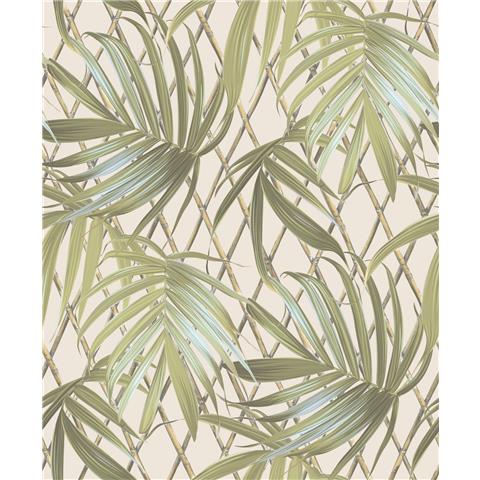 Vasari Paradise Palm Wallpaper 539561 Green