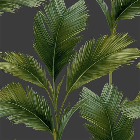 Belgravia kailani palm wallpaper 59115 charcoal/green