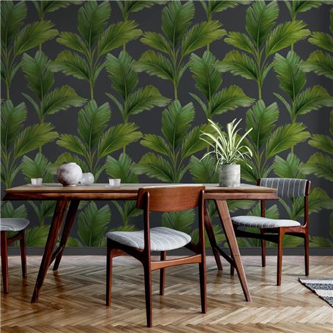 Belgravia kailani palm wallpaper 59115 charcoal/green