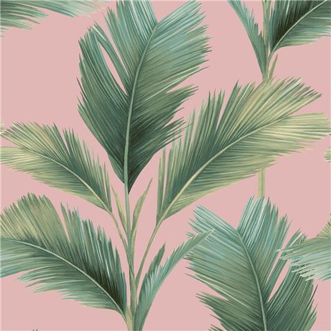 Belgravia kailani palm wallpaper 59117 blush
