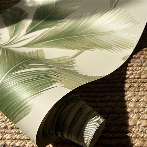 Belgravia Kailani Palm Wallpaper 59122 Sage/Cream