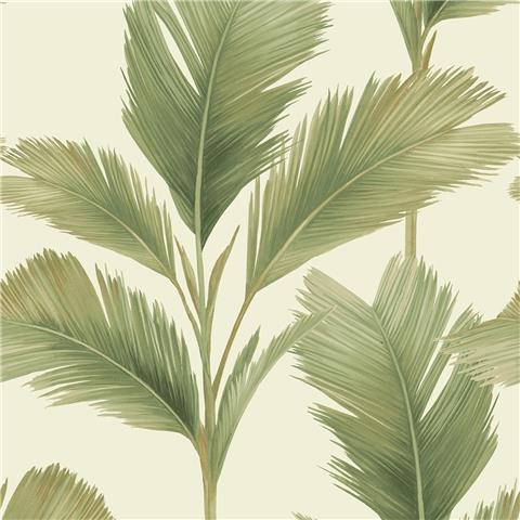 Belgravia Kailani Palm Wallpaper 59122 Sage/Cream