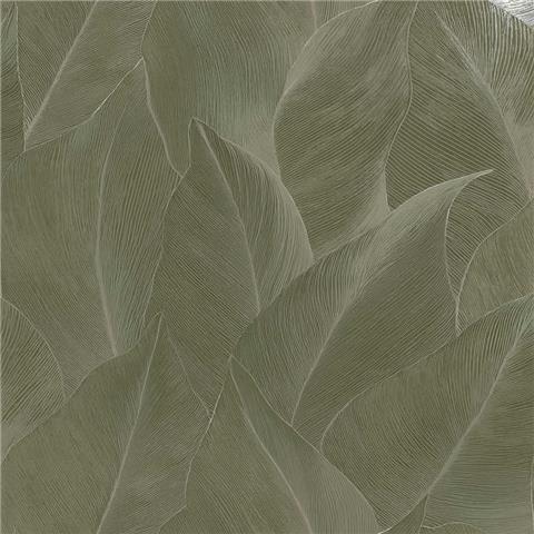 Holden Essence Anthurium Palm Wallpaper 66322 Green
