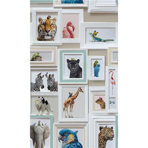 AS Curiosity Collection Wallpaper Framed Animals 793773