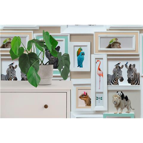 AS Curiosity Collection Wallpaper Framed Animals 793773