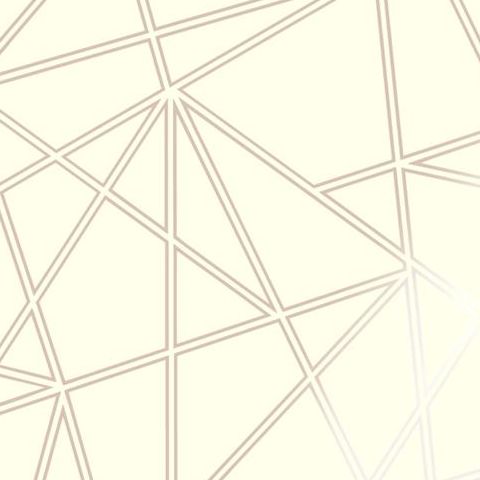 Holden Statement Glasshouse Wallpaper-Paladium Geometric Trellis 90113 Rose Gold/Cream