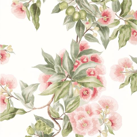 Anna French Devon Wallpaper Camellia Garden AT24550 Coral