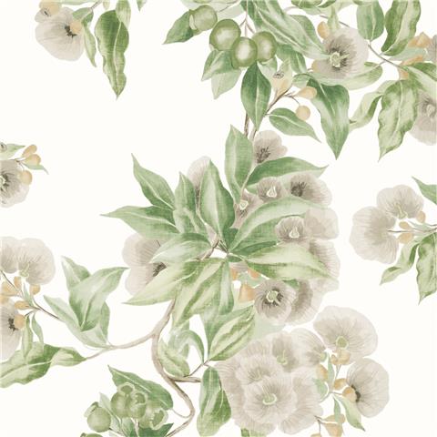 Anna French Devon Wallpaper Camellia Garden AT24551 Spring/White
