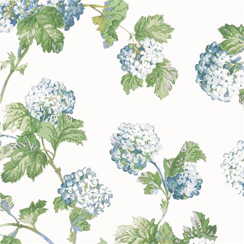 Anna French Bristol Wallpaper Sussex Hydrangea AT57846 Blue green