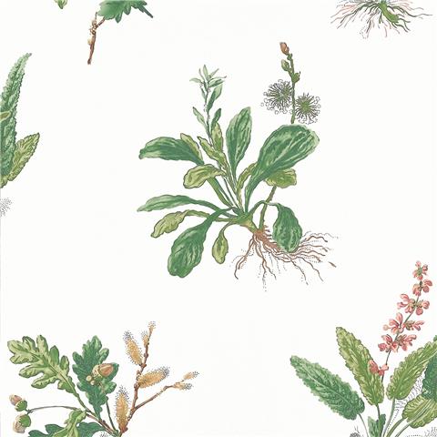 Anna French Bristol Wallpaper Woodland AT57852 Green/Blush