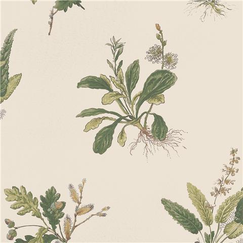 Anna French Bristol Wallpaper Woodland AT57853 Green/Natural