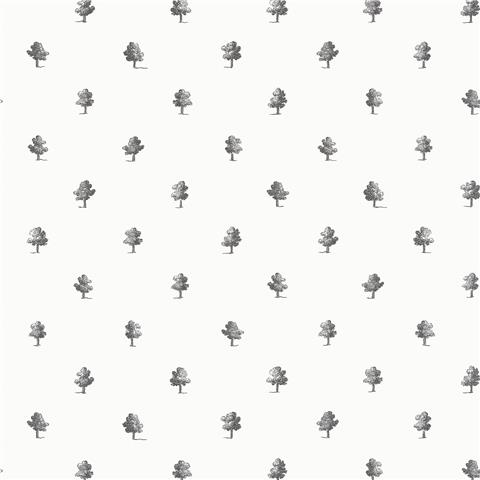Anna French Bristol Wallpaper Ashton AT57876 Black/White