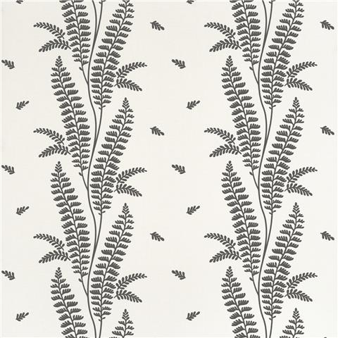 Anna French Bristol Wallpaper Ensbury Fern AT57884 Black