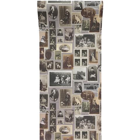 Graduate Collection Wallpaper Jolly Boy French Grey