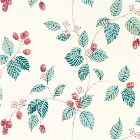 Sanderson Arboretum Wallpaper Rubus 217228 Raspberry