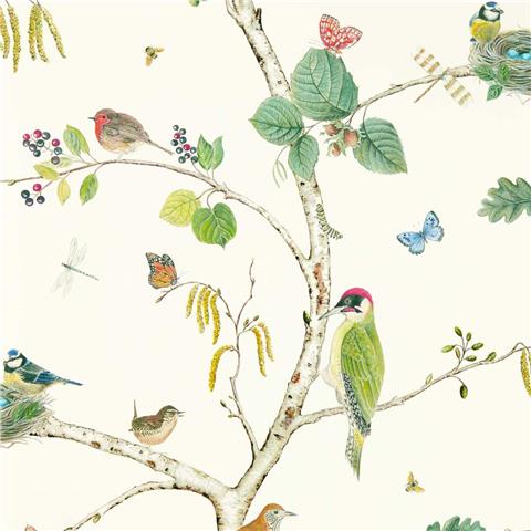 Sanderson Arboretum Wallpaper Woodland Chorus 217230 Botanical Multi