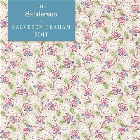 Sanderson Arboretum Wallpaper Dallimore 217234 Wild Rose