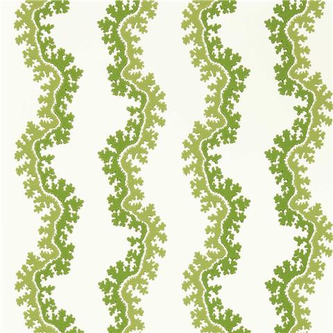 Sanderson Arboretum Wallpaper Oxbrow 217251 sap green