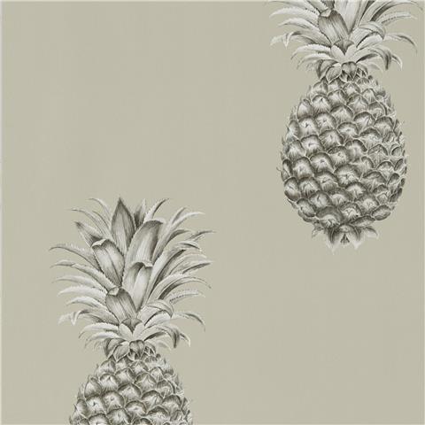 Sanderson Art of the Garden Wallpapers Pineapple Royale 216323
