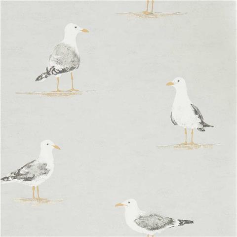 Sanderson Port Issacs Wallpaper Shore Birds 216565 Gull