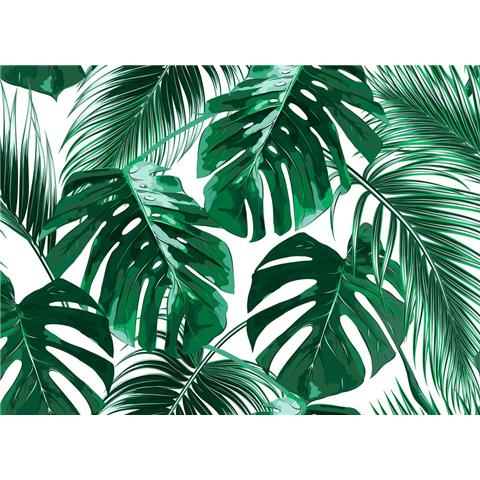 DESIGN WALLS BOTANICAL MURAL palm leaves 1 (350CM WIDE X 255CM HIGH)