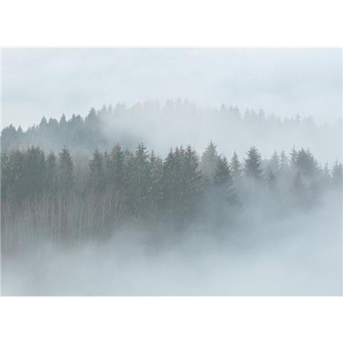 DESIGN WALLS Nature MURAL misty forest (350CM WIDE X 255CM HIGH)