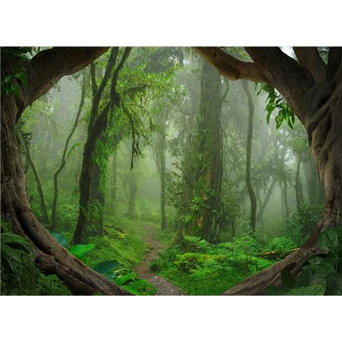 DESIGN WALLS Nature MURAL tropical forest (350CM WIDE X 255CM HIGH)