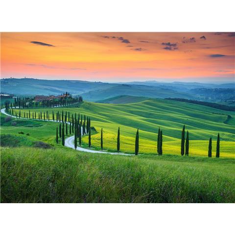DESIGN WALLS travelling MURAL tuscany 1 (350CM WIDE X 255CM HIGH)