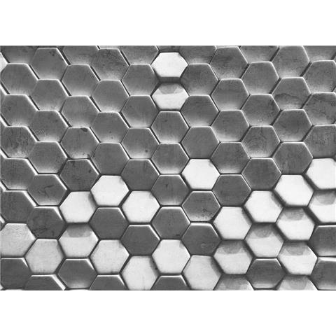 DESIGN WALLS illusion MURAL hexagon surface 1 (350CM WIDE X 255CM HIGH)