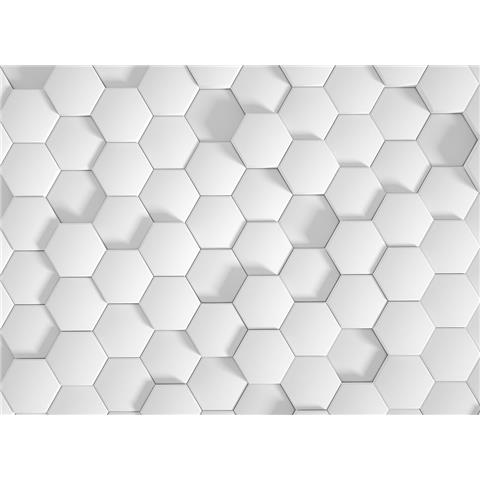 DESIGN WALLS illusion MURAL honey comb1 (350CM WIDE X 255CM HIGH)