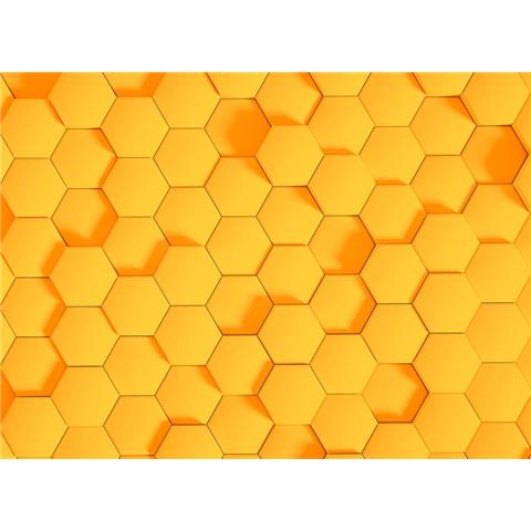 DESIGN WALLS illusion MURAL honey comb 2 (350CM WIDE X 255CM HIGH)