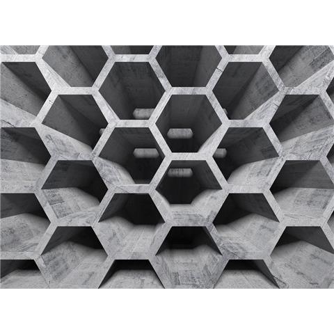 DESIGN WALLS illusion MURAL honey comb structure 1(350CM WIDE X 255CM HIGH)