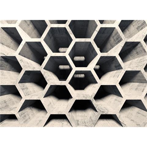 DESIGN WALLS illusion MURAL honey comb structure 2(350CM WIDE X 255CM HIGH)
